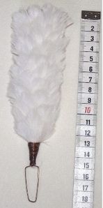 Witte veren voor Glencarry